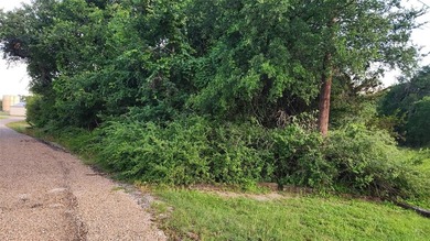 Lake Granbury Lot For Sale in Granbury Texas