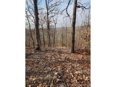 This scenic property features high ridges with incredible views - photo 22