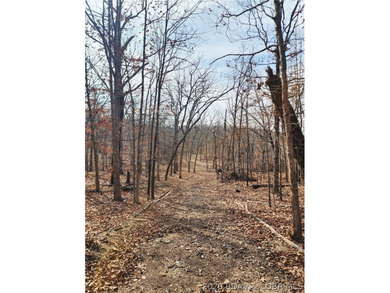 This scenic property features high ridges with incredible views - photo 32