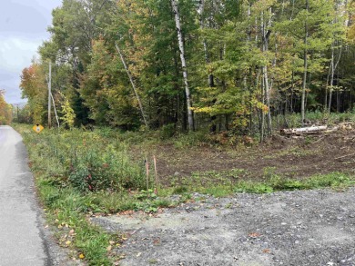 Crystal Lake Acreage For Sale in Barton Vermont