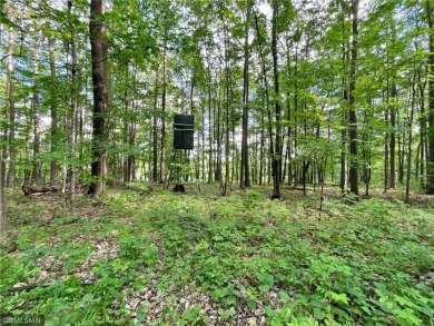 Ross Lake Acreage For Sale in Aitkin Minnesota