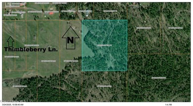 Stunning 20 Acre parcel (880' x 990') is located less than a - photo 1