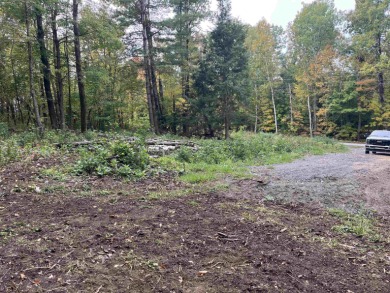 Crystal Lake Acreage For Sale in Barton Vermont