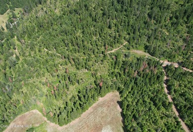 Stunning 20 Acre parcel (880' x 990') is located less than a - photo 2