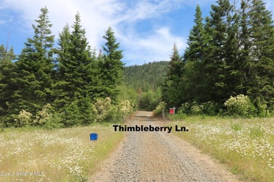 Stunning 20 Acre parcel (880' x 990') is located less than a - photo 3