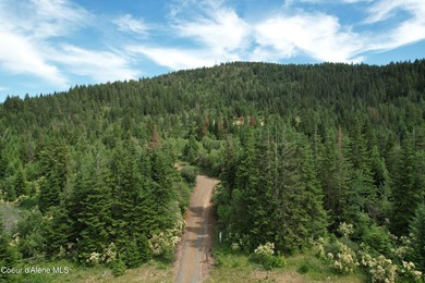 Stunning 20 Acre parcel (880' x 990') is located less than a - photo 4