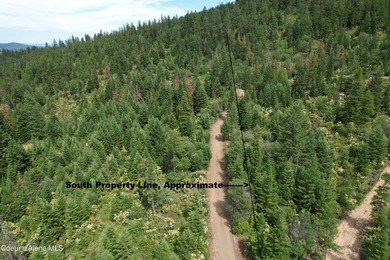 Stunning 20 Acre parcel (880' x 990') is located less than a - photo 6