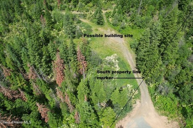 Stunning 20 Acre parcel (880' x 990') is located less than a - photo 7