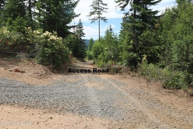 Stunning 20 Acre parcel (880' x 990') is located less than a - photo 8