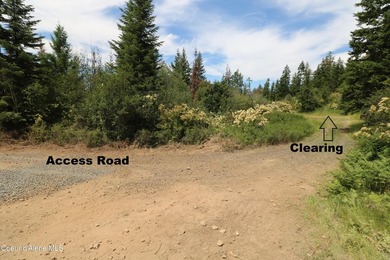 Stunning 20 Acre parcel (880' x 990') is located less than a - photo 9