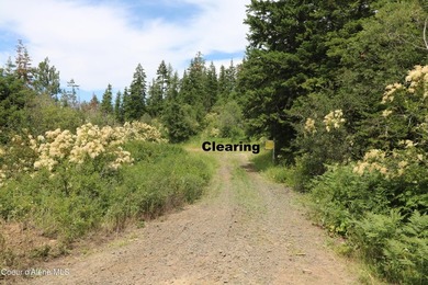 Stunning 20 Acre parcel (880' x 990') is located less than a - photo 10