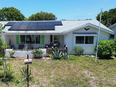Welcome home to this 2 bedroom Holiday Hill Estates pool home - photo 1