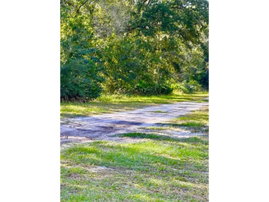 Half-Acre Lot in Indian Lake Estates - A Golfer's & Fisherman's - photo 4