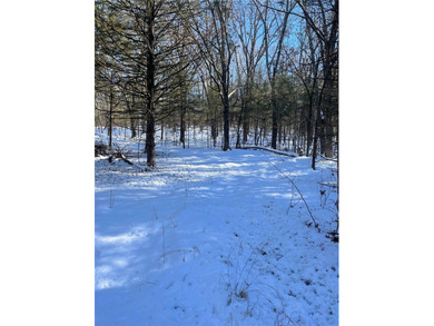 19.39 Acres m/l Excellent hilltop overlooking the Lake in 3 - photo 11