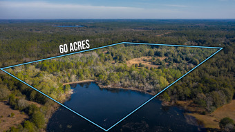 (private lake, pond, creek) Acreage For Sale in Defuniak Springs Florida