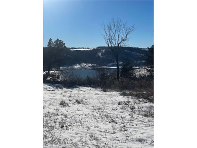 19.39 Acres m/l Excellent hilltop overlooking the Lake in 3 - photo 14