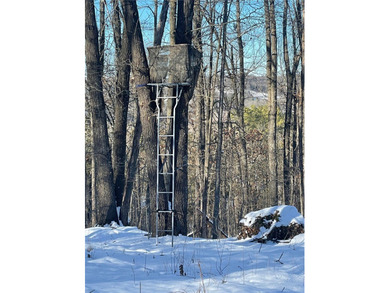 19.39 Acres m/l Excellent hilltop overlooking the Lake in 3 - photo 17