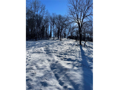 19.39 Acres m/l Excellent hilltop overlooking the Lake in 3 - photo 18