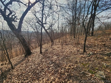 This scenic property features high ridges with incredible views - photo 18