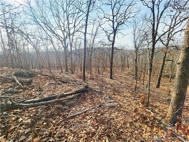 This scenic property features high ridges with incredible views - photo 23