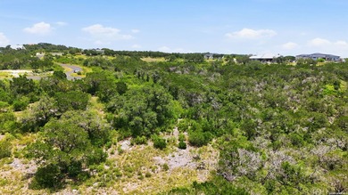 Build Your Dream Home in the Heart of the Texas Hill Country! - photo 29