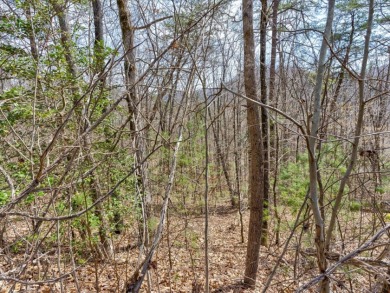 2+ Acre Building Lot in River Crest - Lake Lot For Sale in Del Rio, Tennessee