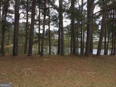 BEAUTIFUL 25.9 acre tract just outside of Fayetteville City - photo 4