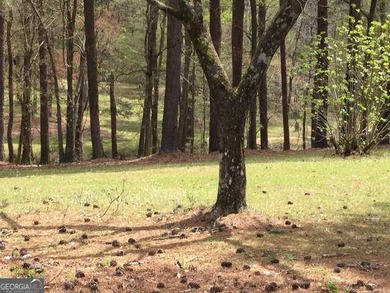 BEAUTIFUL 25.9 acre tract just outside of Fayetteville City - photo 7