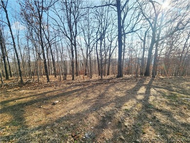 This scenic property features high ridges with incredible views - photo 11