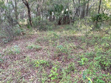 BEAUTIFUL WATERFRONT HOMESITE. Build your dream home on this .64 - photo 11