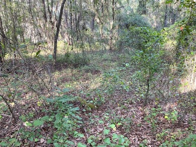 BEAUTIFUL WATERFRONT HOMESITE. Build your dream home on this .64 - photo 12