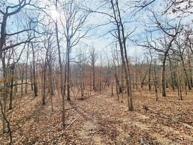This scenic property features high ridges with incredible views - photo 31