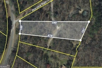 (private lake, pond, coastal) Lot For Sale in Ellijay Georgia