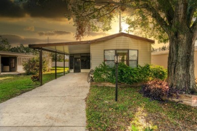 Lake Home For Sale in Leesburg, Florida