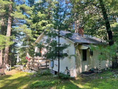 Lake Home For Sale in Nisswa, Minnesota