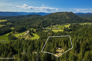 Brand new luxury home, to be built, in the world class Idaho - photo 3