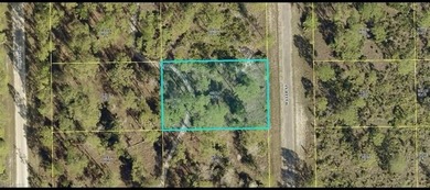 Lehigh Acres Area Lot For Sale in Lehigh Acres Florida