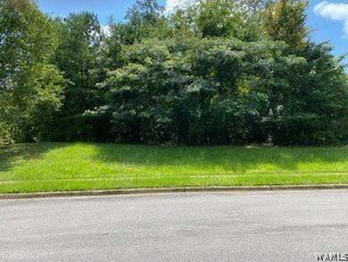 What a great lot to build your dream home!!! I think you'll love - photo 4