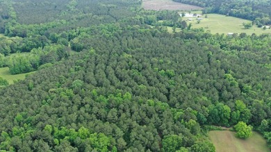 HunterFocused Listing 22.5 Acres Douglassville, Texas Seller - photo 2