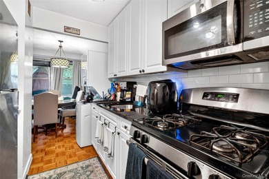 Bright and spacious move-in ready one-bedroom co-op with a - photo 22