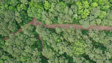 HunterFocused Listing 22.5 Acres Douglassville, Texas Seller - photo 3