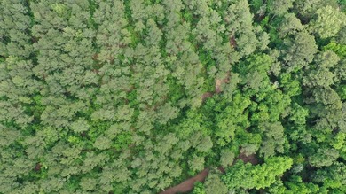 HunterFocused Listing 22.5 Acres Douglassville, Texas Seller - photo 4