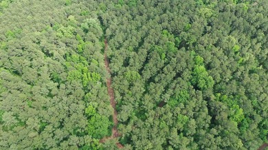 HunterFocused Listing 22.5 Acres Douglassville, Texas Seller - photo 5