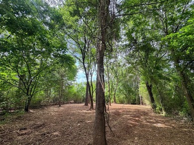 HunterFocused Listing 22.5 Acres Douglassville, Texas Seller - photo 7
