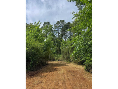 HunterFocused Listing 22.5 Acres Douglassville, Texas Seller - photo 8
