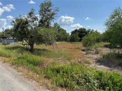 Lake Lot For Sale in Mathis, Texas