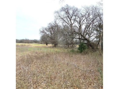 Lake Lot For Sale in Whitney, Texas