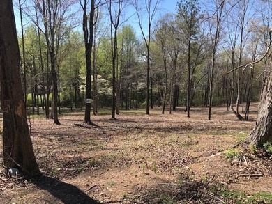 One of the last tranquil and small subdivisions available with - photo 1