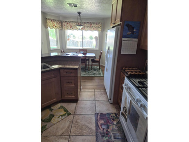 New roof and septic 2014, HVAC 2021, Stucco and Gutters 2022 - photo 35