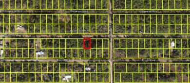 Lake Lot For Sale in Georgetown, Florida